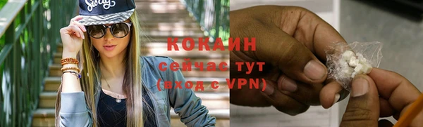 твердый Абаза