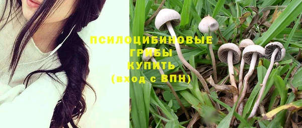 спиды Абинск