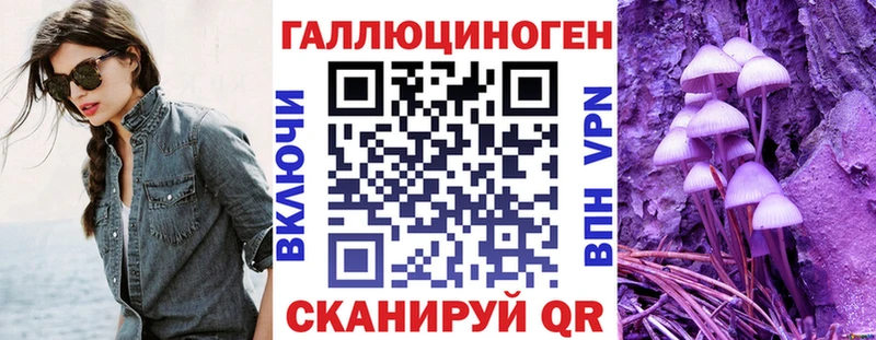 цены наркотик  Котельнич  Псилоцибиновые грибы Psilocybe 